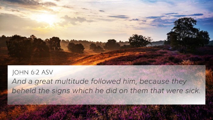 John 6:2 ASV Bible Verse Image