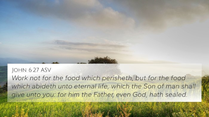 John 6:27 ASV Bible Verse Image