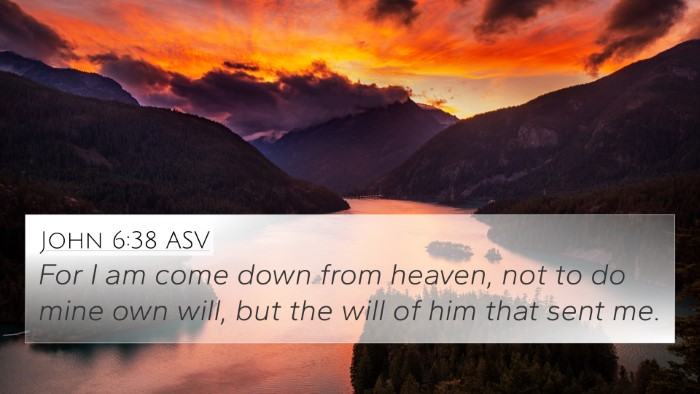 John 6:38 ASV Bible Verse Image