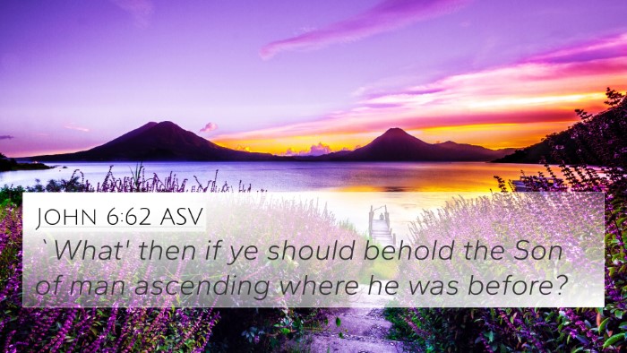 John 6:62 ASV Bible Verse Image