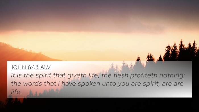 John 6:63 ASV Bible Verse Image