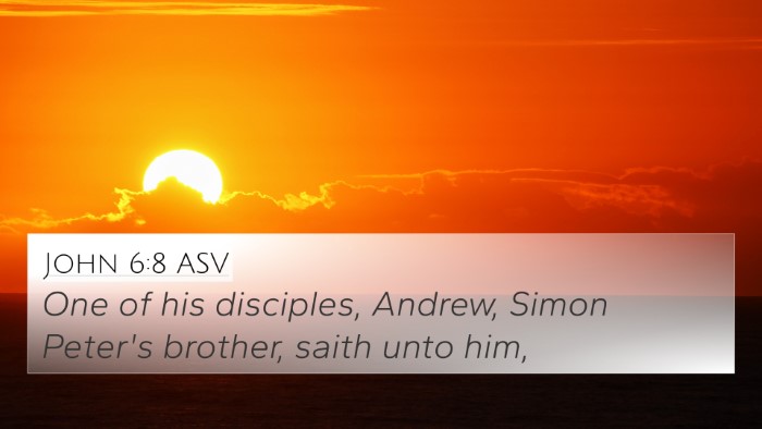 John 6:8 ASV 4K Wallpaper - One of his disciples, Andrew, Simon Peter's - 4K Wallpaper Bible Verse