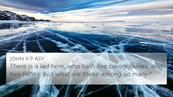 John 6:9 ASV 4K Wallpaper - There is a lad here, who hath five barley loaves, - 4K Wallpaper Bible Verse