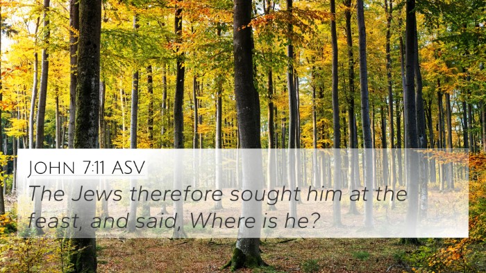 John 7:11 ASV Bible Verse Image