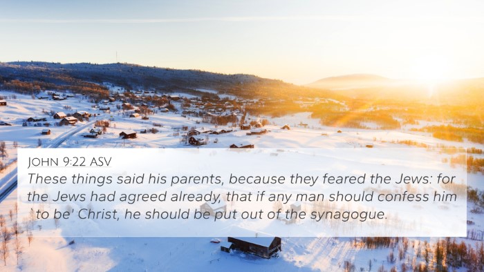John 9:22 ASV Bible Verse Image
