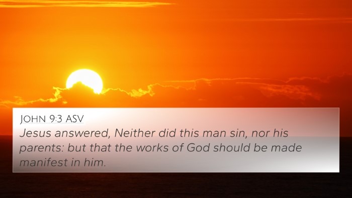 John 9:3 ASV Bible Verse Image