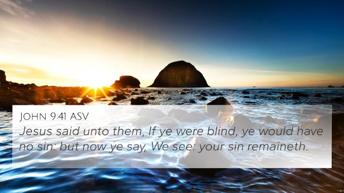 John 9:41 ASV Bible Verse Image