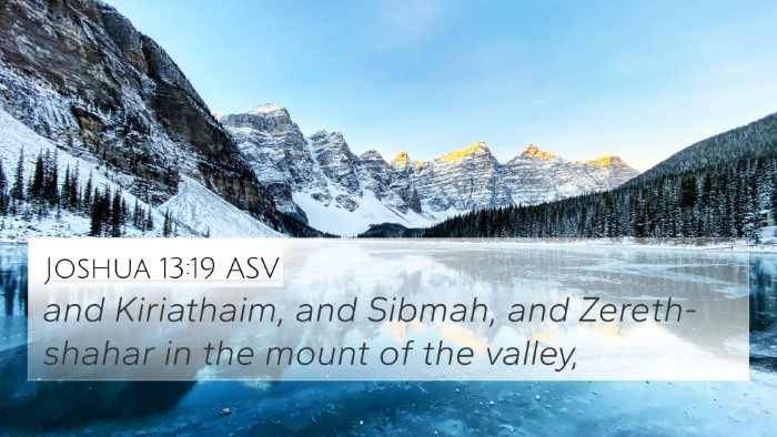 Joshua 13:19 ASV Bible Verse Image
