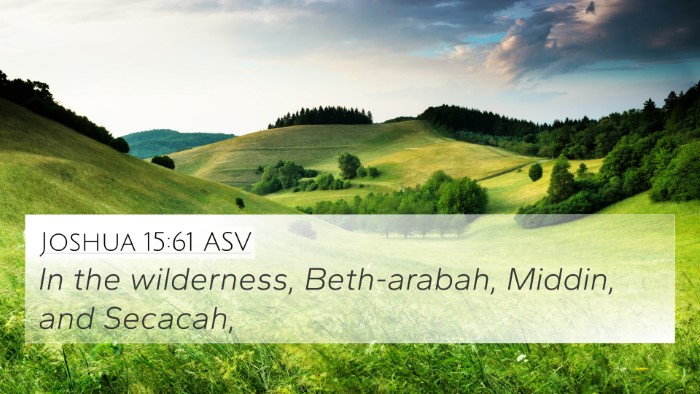 Joshua 15:61 ASV Bible Verse Image