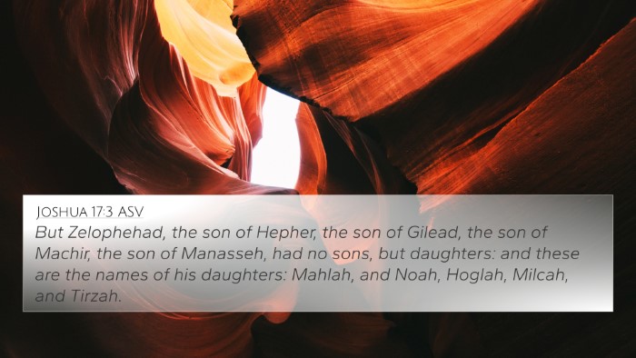 Joshua 17:3 ASV Bible Verse Image