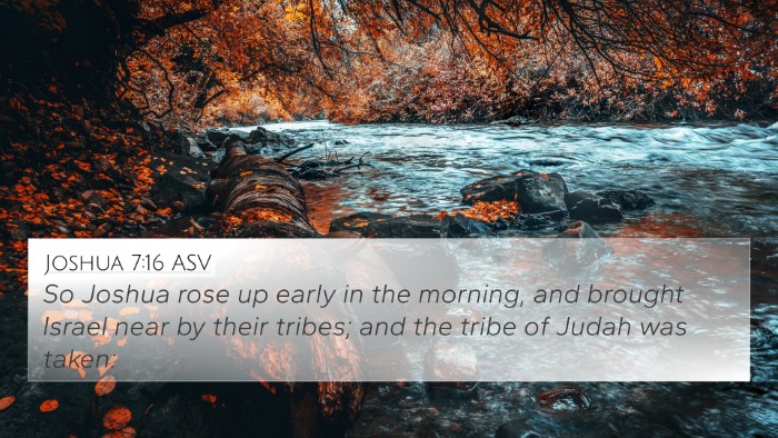 Joshua 7:16 ASV Bible Verse Image