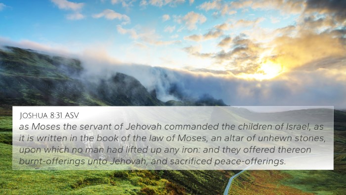 Joshua 8:31 ASV Bible Verse Image