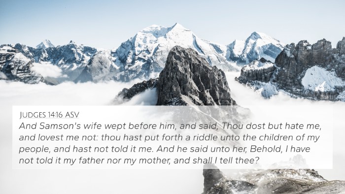 Judges 14:16 ASV Bible Verse Image