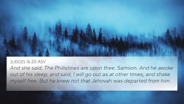 Judges 16:20 ASV Bible Verse Image