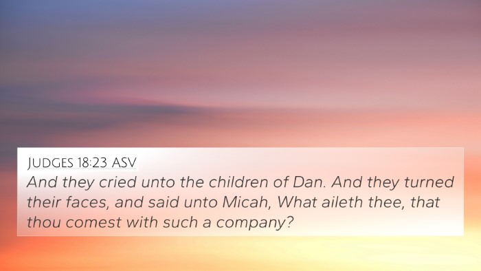Judges 18:23 ASV Bible Verse Image