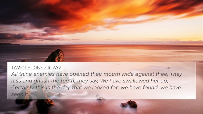 Lamentations 2:16 ASV Bible Verse Image