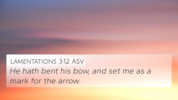 Lamentations 3:12 ASV Bible Verse Image