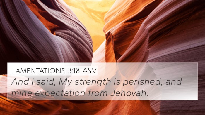 Lamentations 3:18 ASV Bible Verse Image