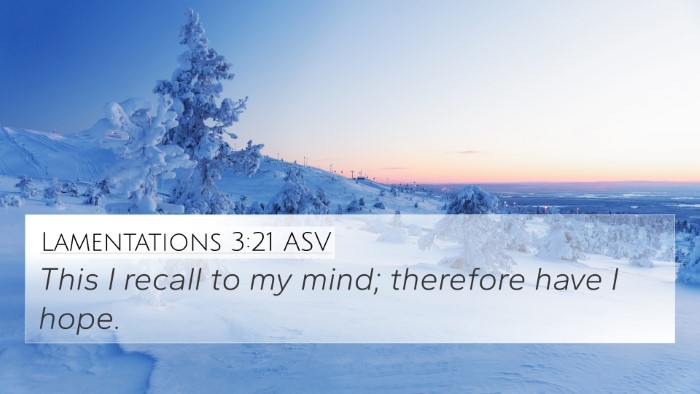Lamentations 3:21 ASV Bible Verse Image