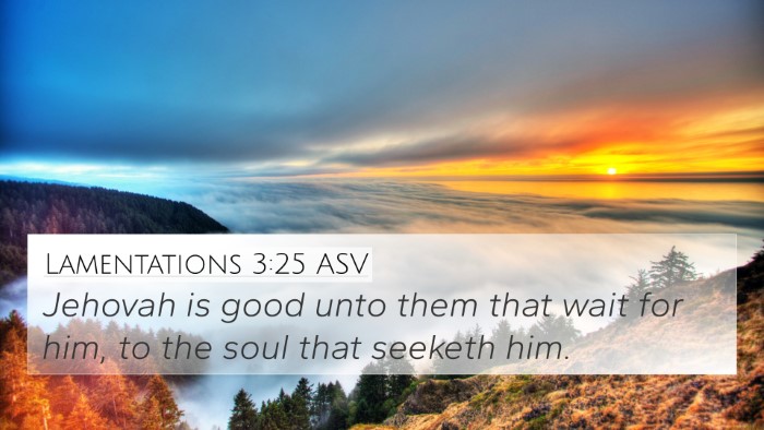 Lamentations 3:25 ASV Bible Verse Image