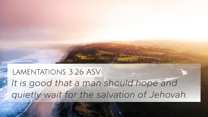 Lamentations 3:26 ASV Bible Verse Image