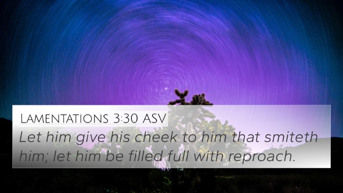 Lamentations 3:30 ASV Bible Verse Image