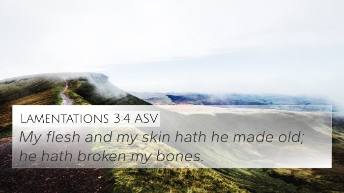 Lamentations 3:4 ASV 4K Wallpaper - My flesh and my skin hath he made old; he hath - 4K Wallpaper Bible Verse