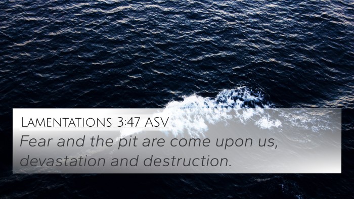 Lamentations 3:47 ASV Bible Verse Image