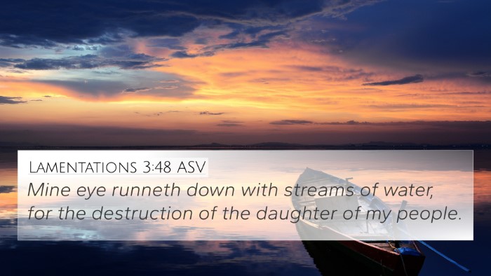 Lamentations 3:48 ASV Bible Verse Image