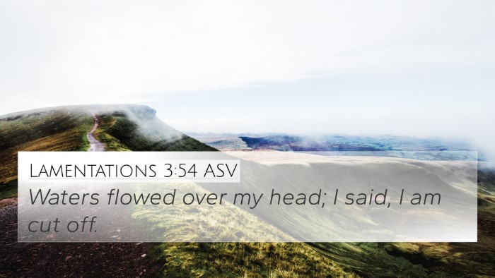 Lamentations 3:54 ASV Bible Verse Image