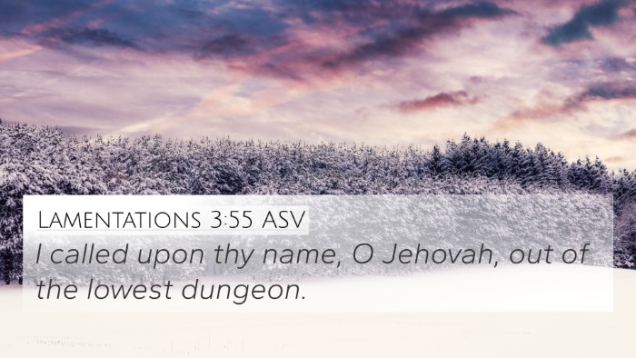 Lamentations 3:55 ASV Bible Verse Image