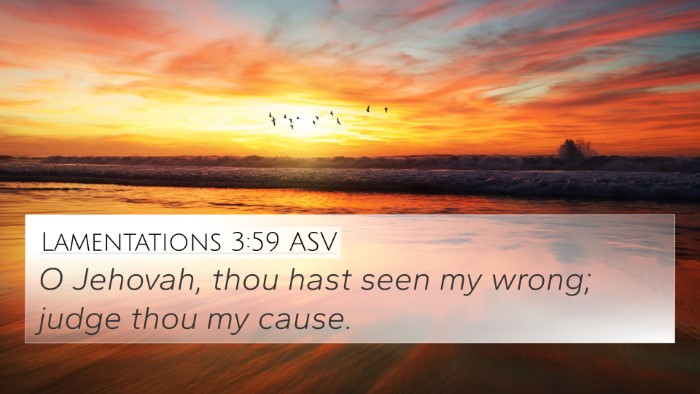 Lamentations 3:59 ASV Bible Verse Image