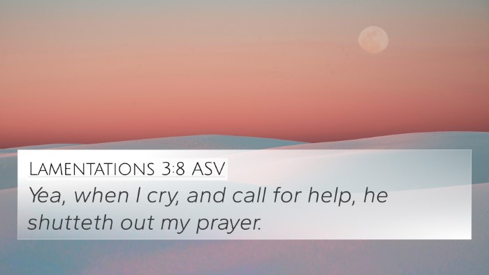 Lamentations 3:8 ASV Bible Verse Image