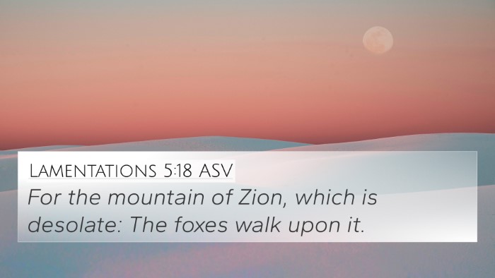 Lamentations 5:18 ASV Bible Verse Image