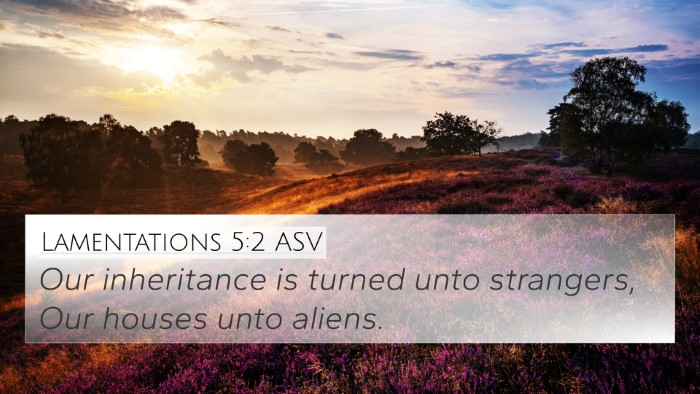 Lamentations 5:2 ASV Bible Verse Image
