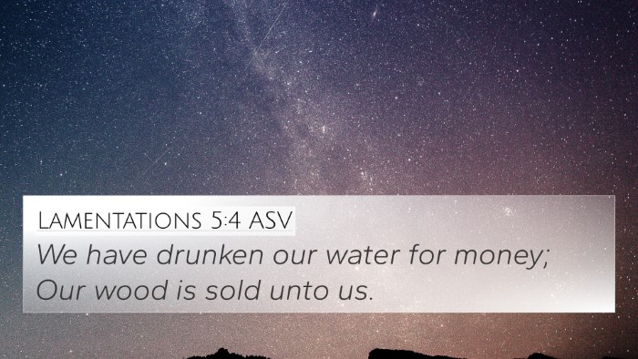 Lamentations 5:4 ASV 4K Wallpaper - We have drunken our water for money; Our wood is - 4K Wallpaper Bible Verse