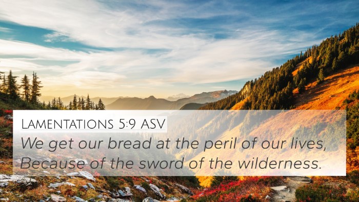 Lamentations 5:9 ASV 4K Wallpaper - We get our bread at the peril of our lives, - 4K Wallpaper Bible Verse