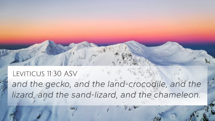 Leviticus 11:30 ASV 4K Wallpaper - and the gecko, and the land-crocodile, and the - 4K Wallpaper Bible Verse