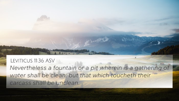 Leviticus 11:36 ASV 4K Wallpaper - Nevertheless a fountain or a pit wherein is a - 4K Wallpaper Bible Verse