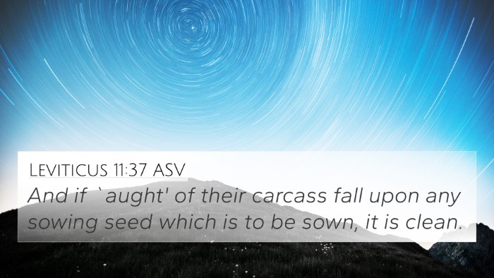 Leviticus 11:37 ASV 4K Wallpaper - And if `aught' of their carcass fall upon any - 4K Wallpaper Bible Verse