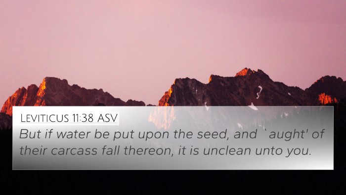 Leviticus 11:38 ASV Bible Verse Image