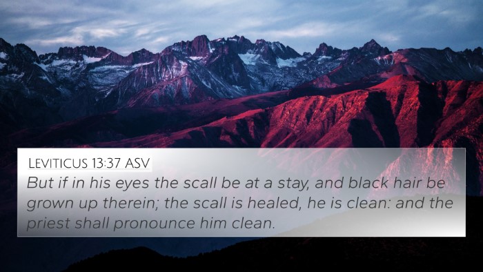 Leviticus 13:37 ASV 4K Wallpaper - But if in his eyes the scall be at a stay, and - 4K Wallpaper Bible Verse