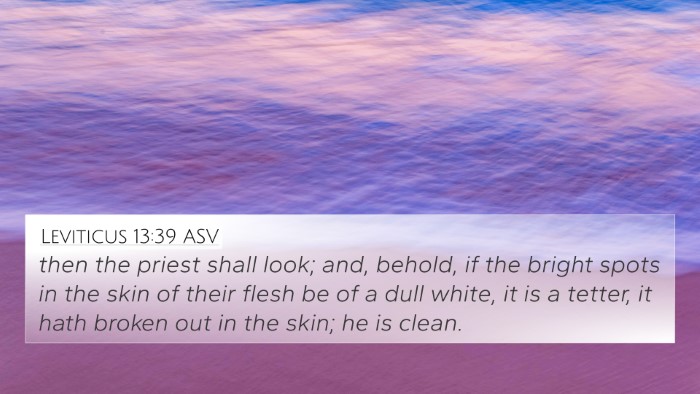 Leviticus 13:39 ASV 4K Wallpaper - then the priest shall look; and, behold, if the - 4K Wallpaper Bible Verse