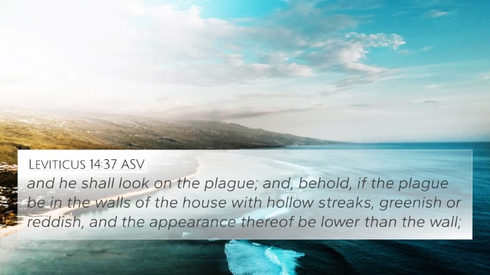 Leviticus 14:37 ASV 4K Wallpaper - and he shall look on the plague; and, behold, if - 4K Wallpaper Bible Verse