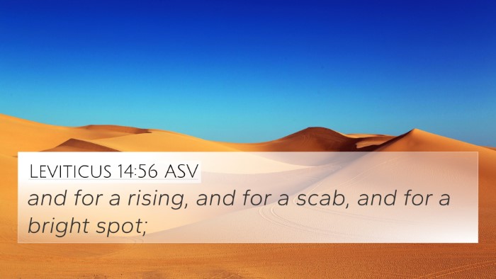 Leviticus 14:56 ASV Bible Verse Image