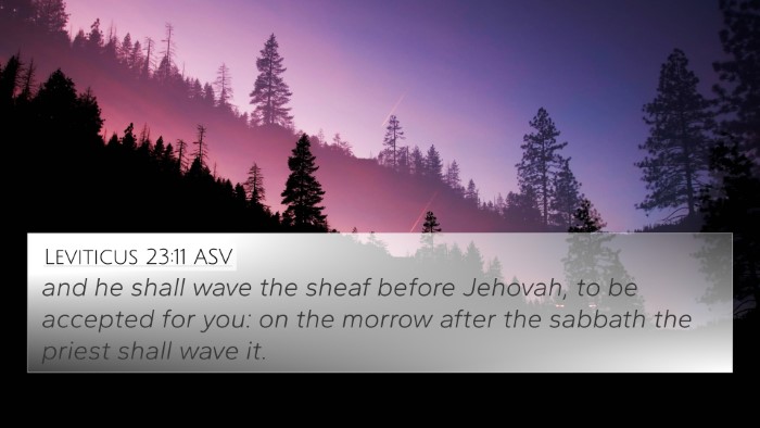 Leviticus 23:11 ASV 4K Wallpaper - and he shall wave the sheaf before Jehovah, to be - 4K Wallpaper Bible Verse