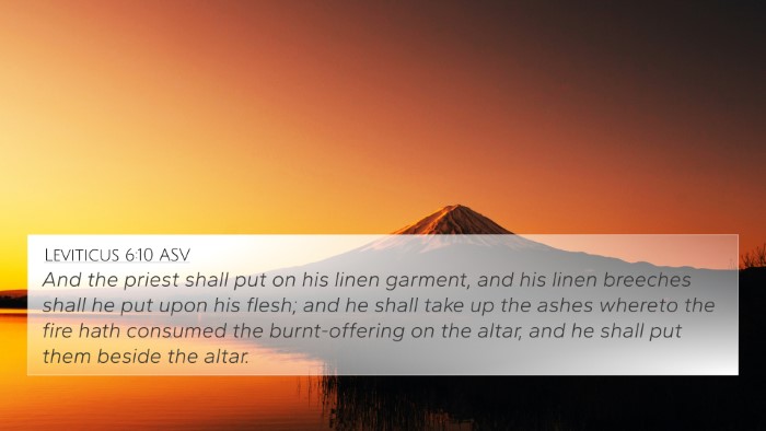 Leviticus 6:10 ASV Bible Verse Image