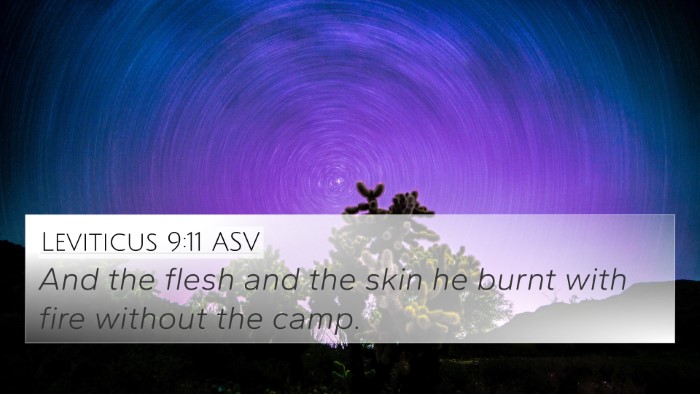 Leviticus 9:11 ASV 4K Wallpaper - And the flesh and the skin he burnt with fire - 4K Wallpaper Bible Verse