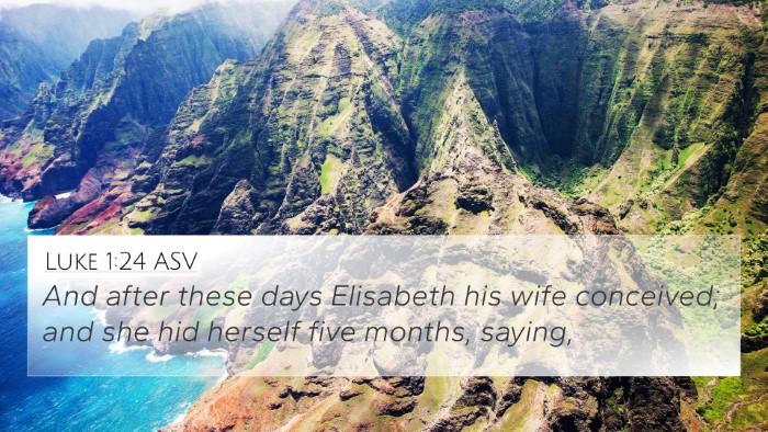 Luke 1:24 ASV Bible Verse Image
