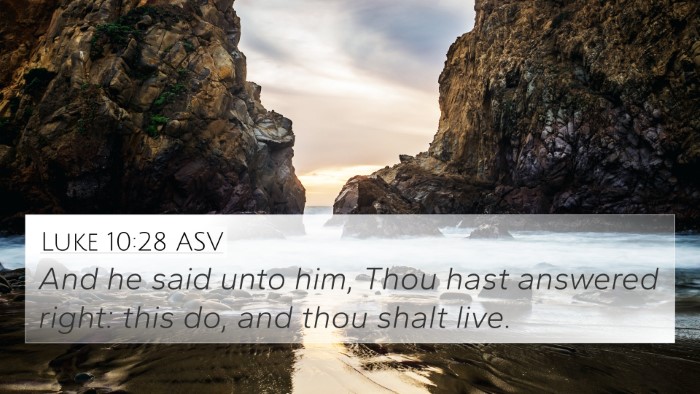 Luke 10:28 ASV Bible Verse Image